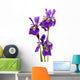 IRIS sibirica Wall Decal