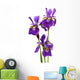 IRIS sibirica Wall Decal