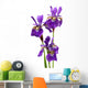 IRIS sibirica Wall Decal