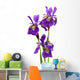 IRIS sibirica Wall Decal