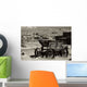 Bodie National State Park Wall Decal