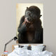 Cute Baby Bonobo Monkey Wall Mural