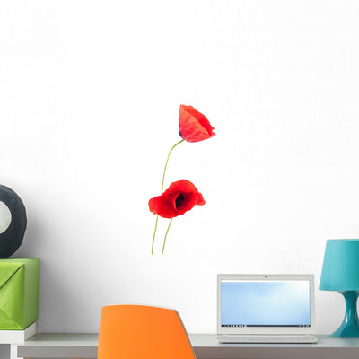 Poppy Wall Decal shown on a wall