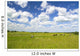 Rural Landscape with Cows