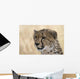 Portrait Cheetah Acinonyx Jubatus Wall Mural