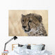Portrait Cheetah Acinonyx Jubatus Wall Mural