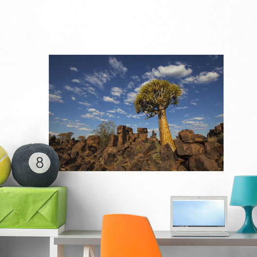 Quiver Tree With Cirrocumulus Floccus Warm In Orange Wall Mural