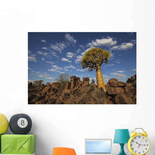 Quiver Tree With Cirrocumulus Floccus Warm In Orange Wall Mural