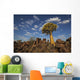 Quiver Tree With Cirrocumulus Floccus Warm In Orange Wall Mural