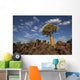 Quiver Tree With Cirrocumulus Floccus Warm In Orange Wall Mural