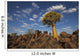 Quiver Tree With Cirrocumulus Floccus Warm In Orange Wall Mural