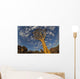 Quiver Tree With Cirrocumulus Floccus In Warm Orange Wall Mural