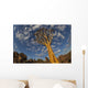 Quiver Tree With Cirrocumulus Floccus In Warm Orange Wall Mural