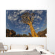 Quiver Tree With Cirrocumulus Floccus In Warm Orange Wall Mural