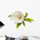 Magnolia Flower Wall Decal
