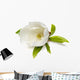 Magnolia Flower Wall Decal