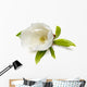 Magnolia Flower Wall Decal
