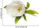 Magnolia Flower Wall Decal