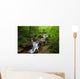 Amicalola Waterfall Wall Mural