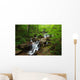 Amicalola Waterfall Wall Mural
