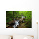 Amicalola Waterfall Wall Mural