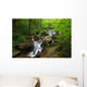 Amicalola Waterfall Wall Mural
