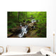 Amicalola Waterfall Wall Mural