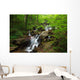 Amicalola Waterfall Wall Mural