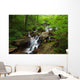 Amicalola Waterfall Wall Mural