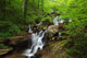 Amicalola Waterfall Wall Mural