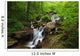 Amicalola Waterfall Wall Mural