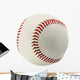 Baseball Wall Decal