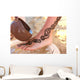 traditions Wall Mural
