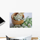 Pharmacies coupon Common yarrow (Achillea millefolium) Wall Mural