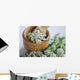 Pharmacies coupon Common yarrow (Achillea millefolium) Wall Mural