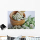 Pharmacies coupon Common yarrow (Achillea millefolium) Wall Mural