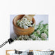 Pharmacies coupon Common yarrow (Achillea millefolium) Wall Mural
