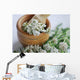 Pharmacies coupon Common yarrow (Achillea millefolium) Wall Mural