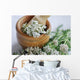 Pharmacies coupon Common yarrow (Achillea millefolium) Wall Mural