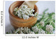 Pharmacies coupon Common yarrow (Achillea millefolium) Wall Mural