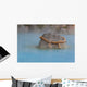 Beppu 1 Wall Decal