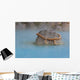 Beppu 1 Wall Decal