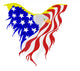 American eagle Wall Decal
