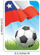 World Soccer Championship 2010