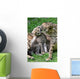 Boy Cheetahs Tiergarten