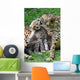 Boy Cheetahs Tiergarten