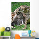 Boy Cheetahs Tiergarten