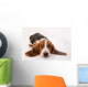 Basset Hound Puppy Wall Decal