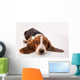 Basset Hound Puppy Wall Decal
