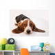 Basset Hound Puppy Wall Decal